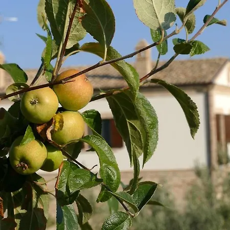 Appart hôtel Colle Veroni 4*