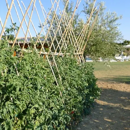 アパートホテル Colle Veroni 4*