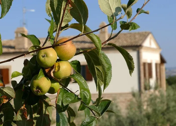 Aparthotel Colle Veroni 4*