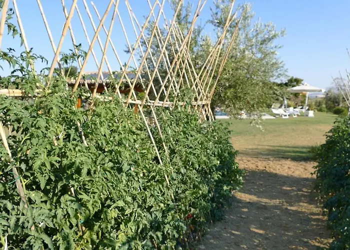 Aparthotel Colle Veroni 4*